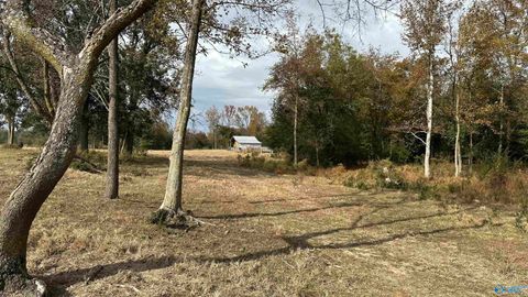 Vacant Land For Sale - TBD Mt Carmel Road<br/> Falkville, AL 35622