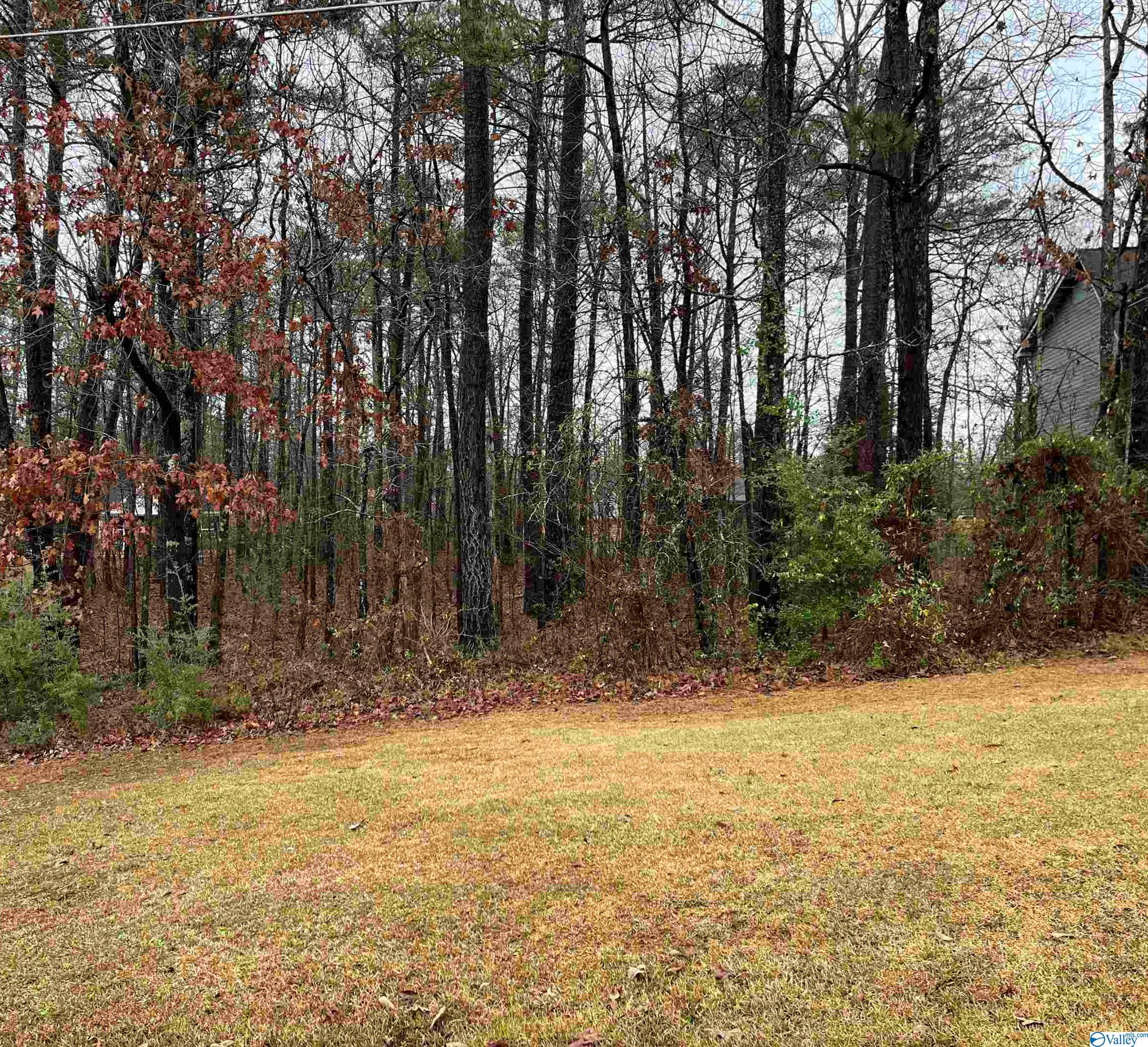 Lot 2 Blk 5 County Road 380, Centre, Alabama image 1