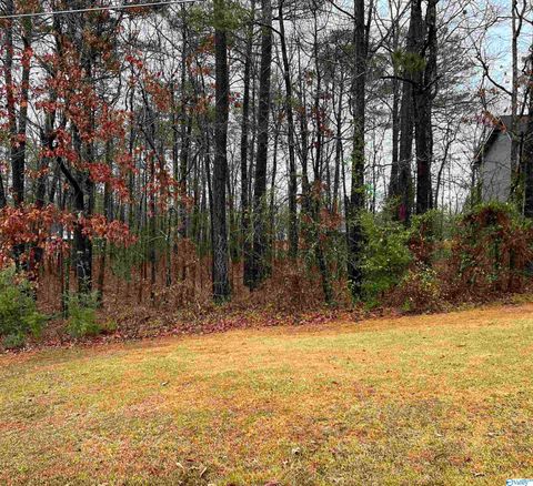Vacant Land For Sale - LOT 2 BLK 5 County Road 380<br/> Cherokee County, Centre, AL 35960