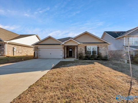 Homes For Sale - 1674 Opp Reynolds Road<br/> Toney, AL 35773