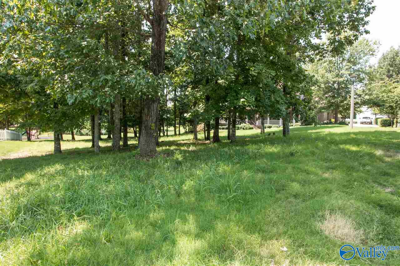 Huntsville, Alabama 35802, United States, ,Land,Active,89829