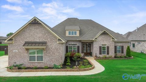 Photo of 204 Maple Branch Court, Meridianville, AL 35759 (MLS # 21919412)