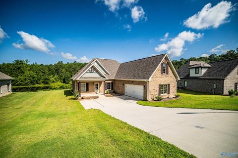 Homes For Sale - 54 Oak Ridge Place<br/> Union Grove, AL 35175