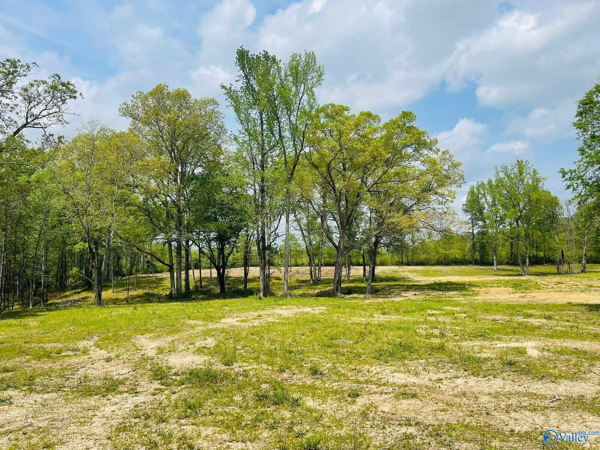 9 Acres Sardis Drive, Boaz, Alabama image 3