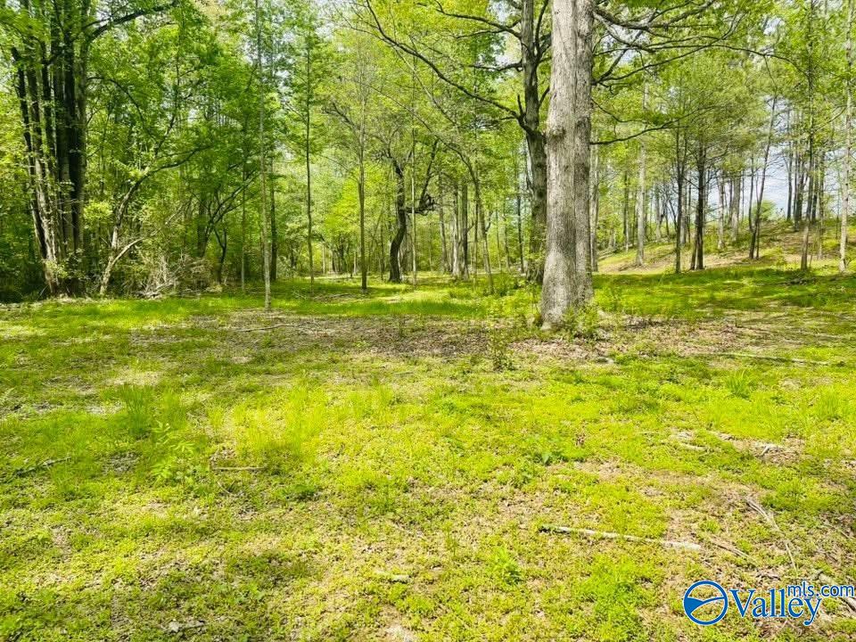 9 Acres Sardis Drive, Boaz, Alabama image 4