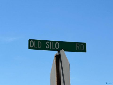 Vacant Land For Sale - 1.24 Highway 231<br/> Laceys Spring, AL 35754