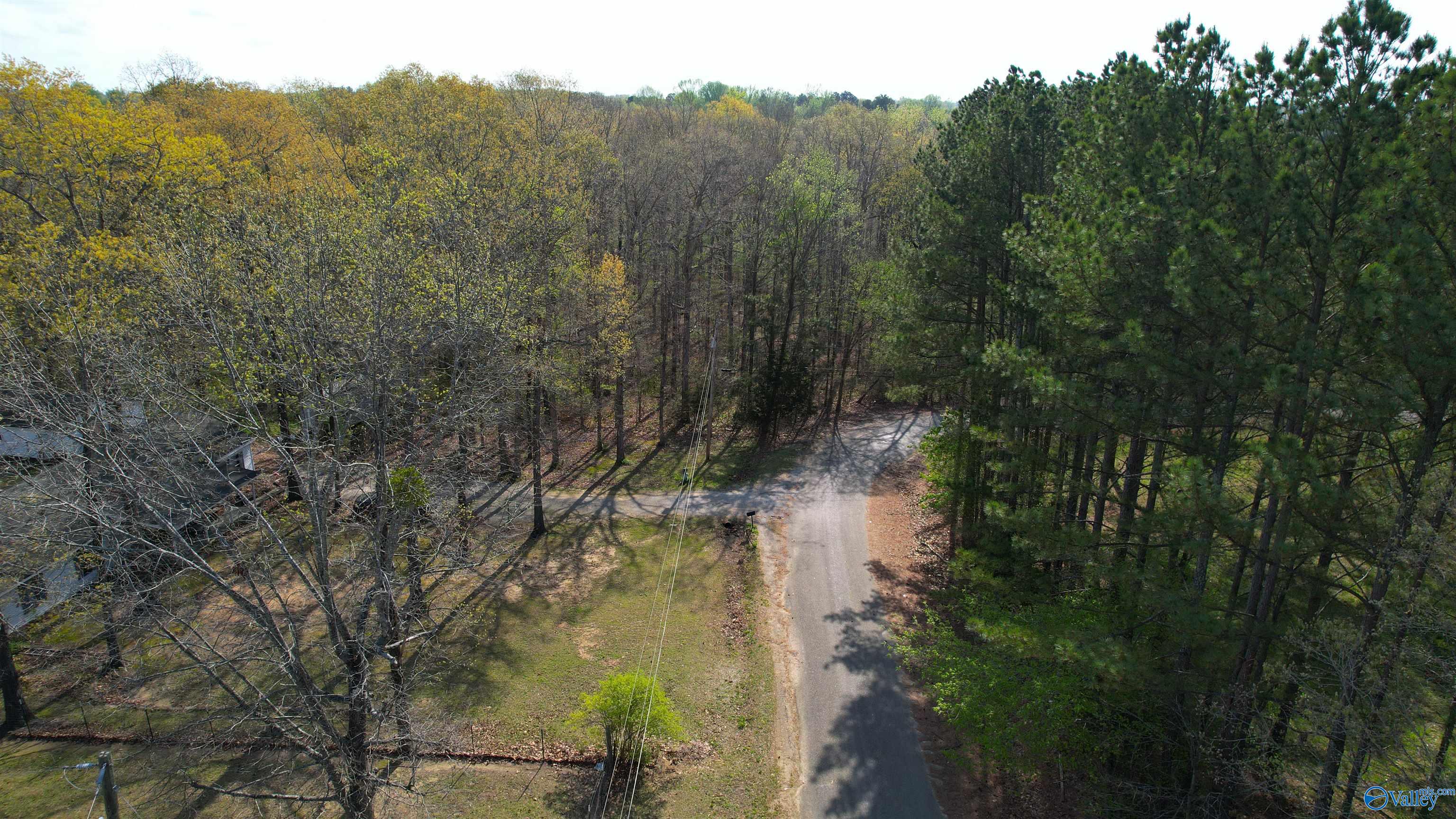 2.7 Acres County Road 518, Moulton, Alabama image 13