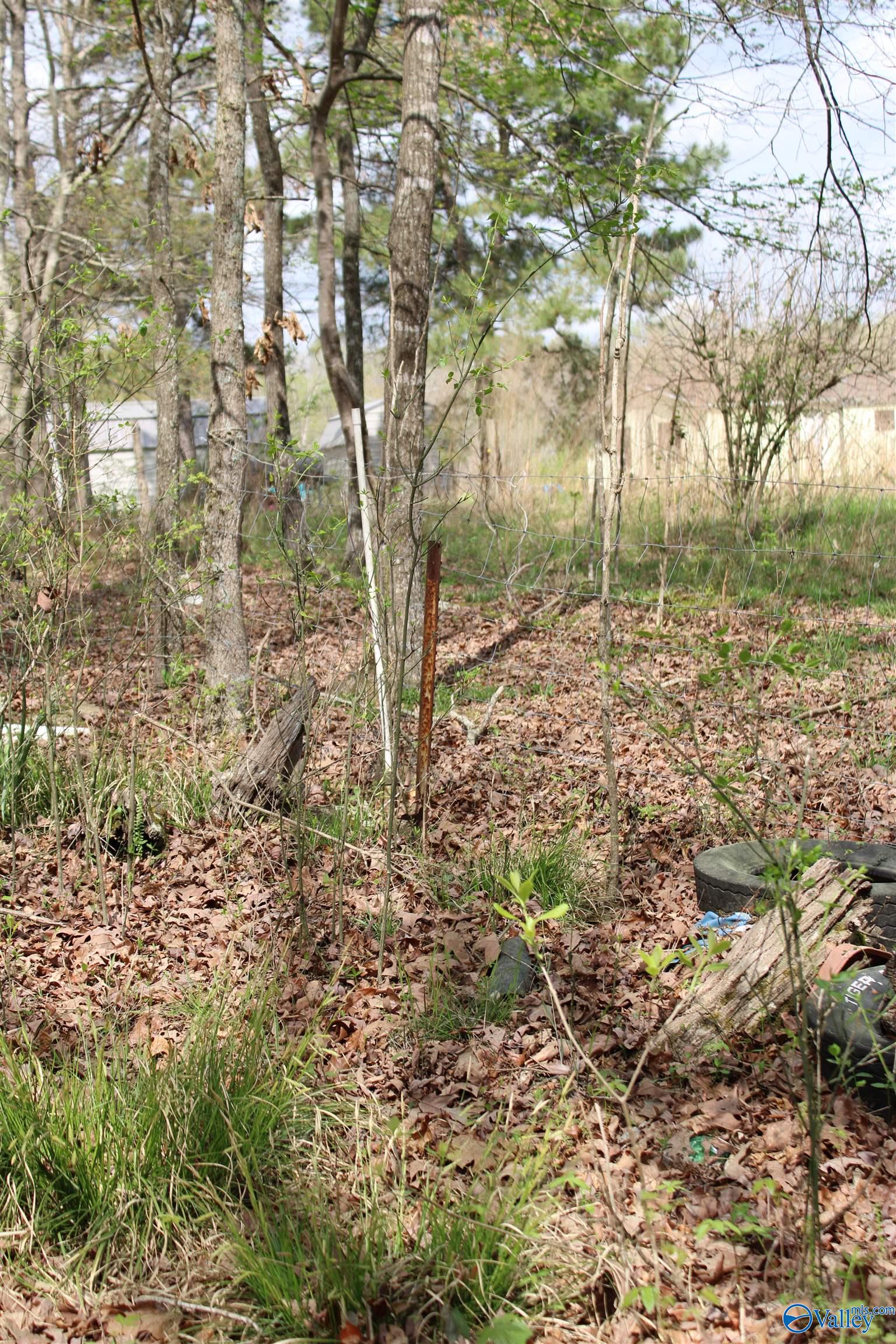 2.7 Acres County Road 518, Moulton, Alabama image 19