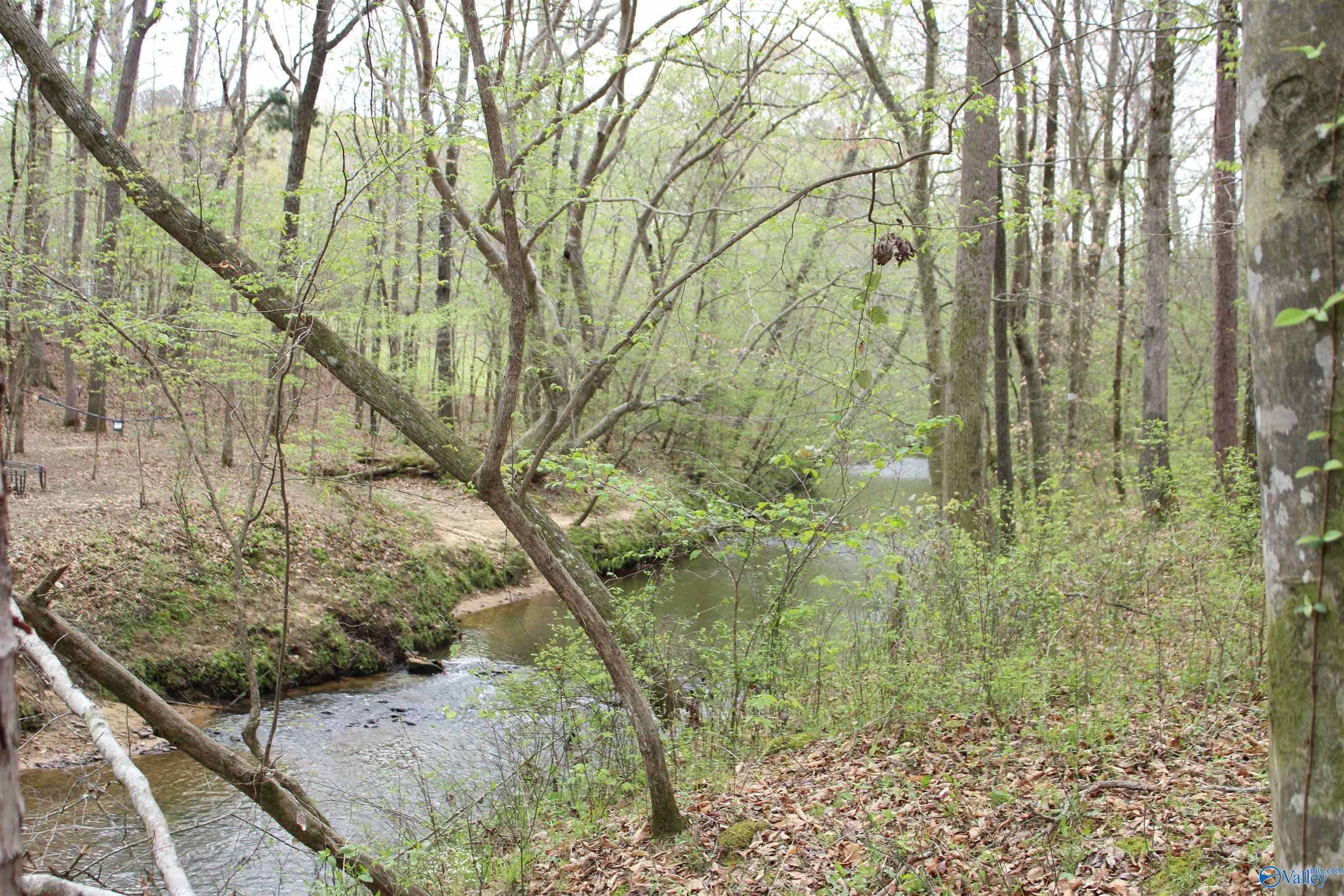 2.7 Acres County Road 518, Moulton, Alabama image 7