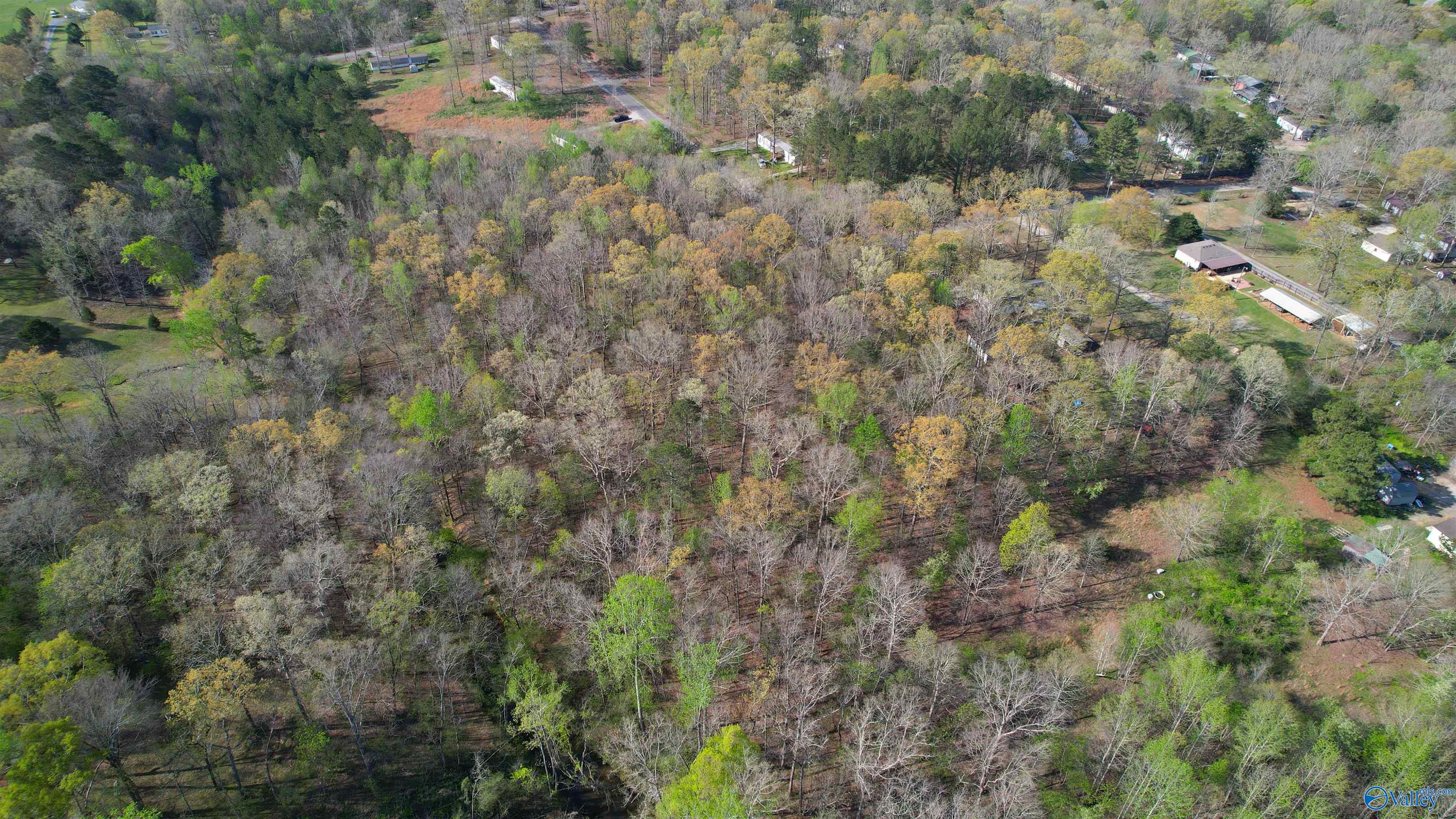 2.7 Acres County Road 518, Moulton, Alabama image 11