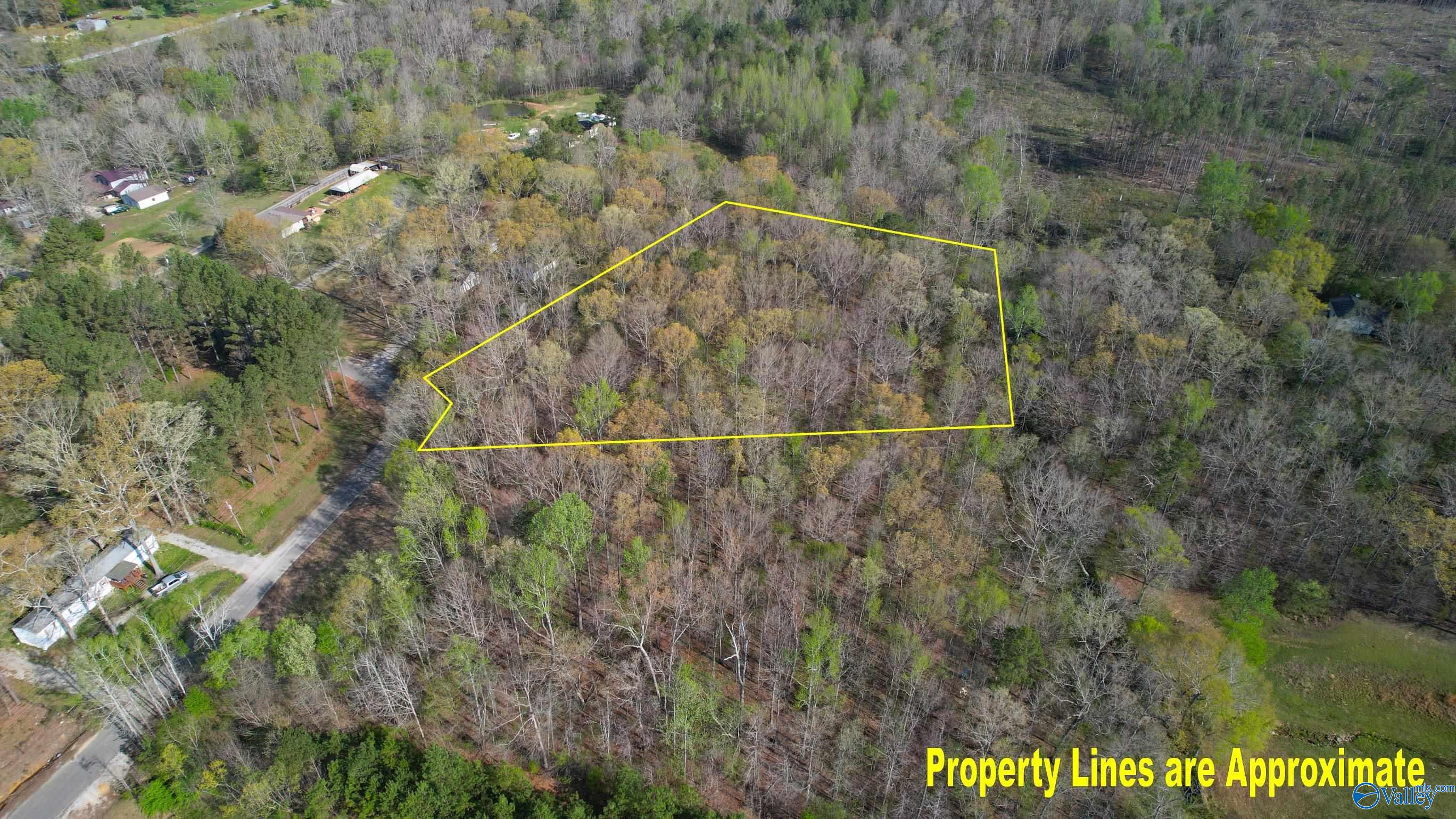 2.7 Acres County Road 518, Moulton, Alabama image 17