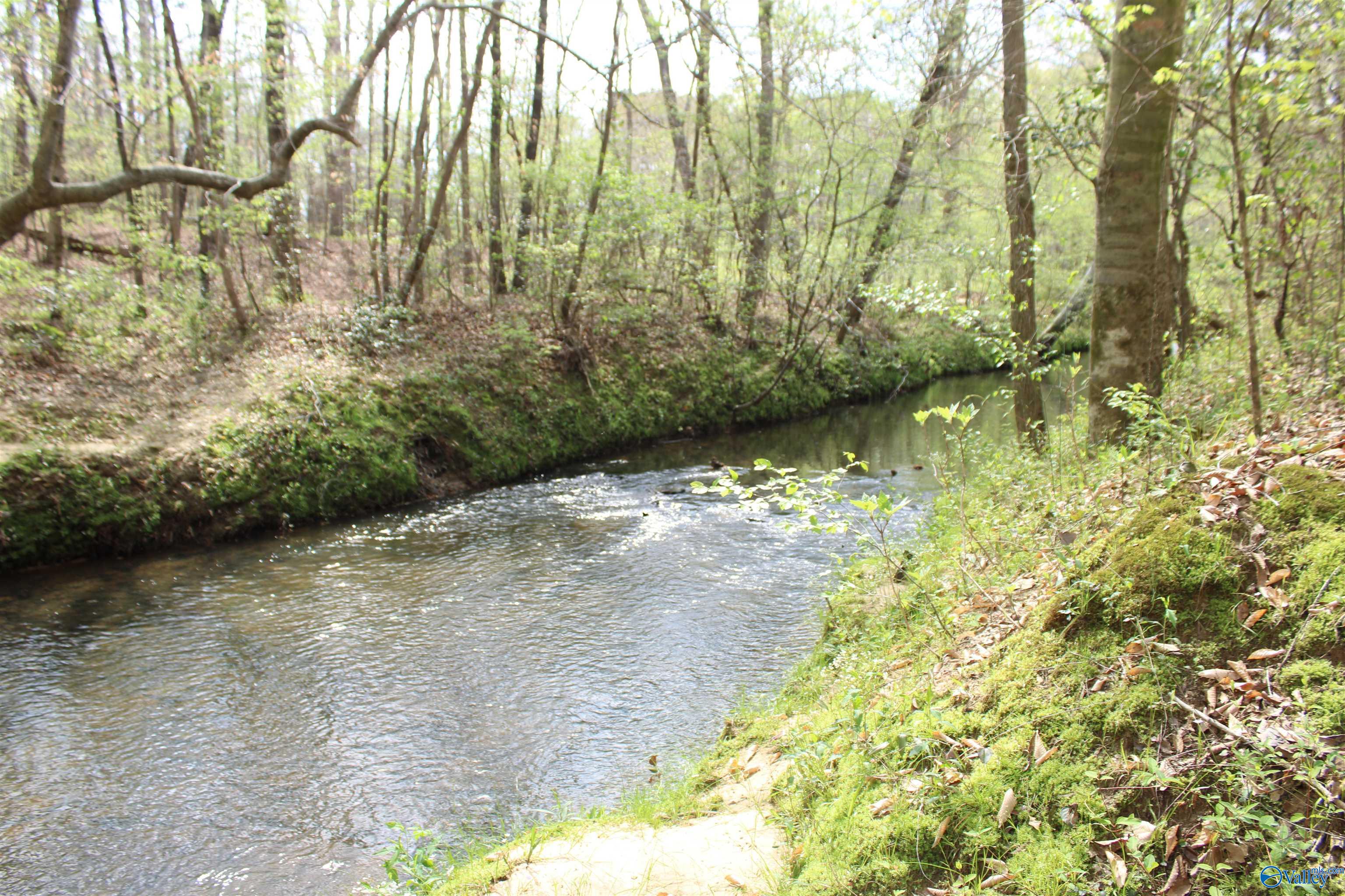 2.7 Acres County Road 518, Moulton, Alabama image 4