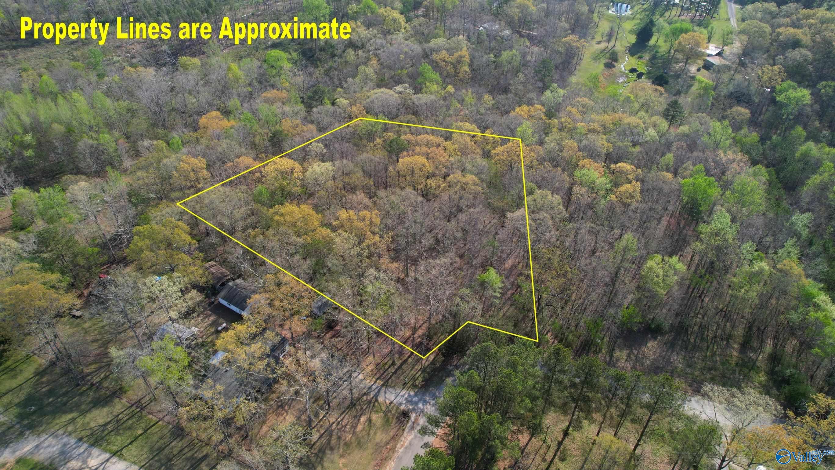 2.7 Acres County Road 518, Moulton, Alabama image 12