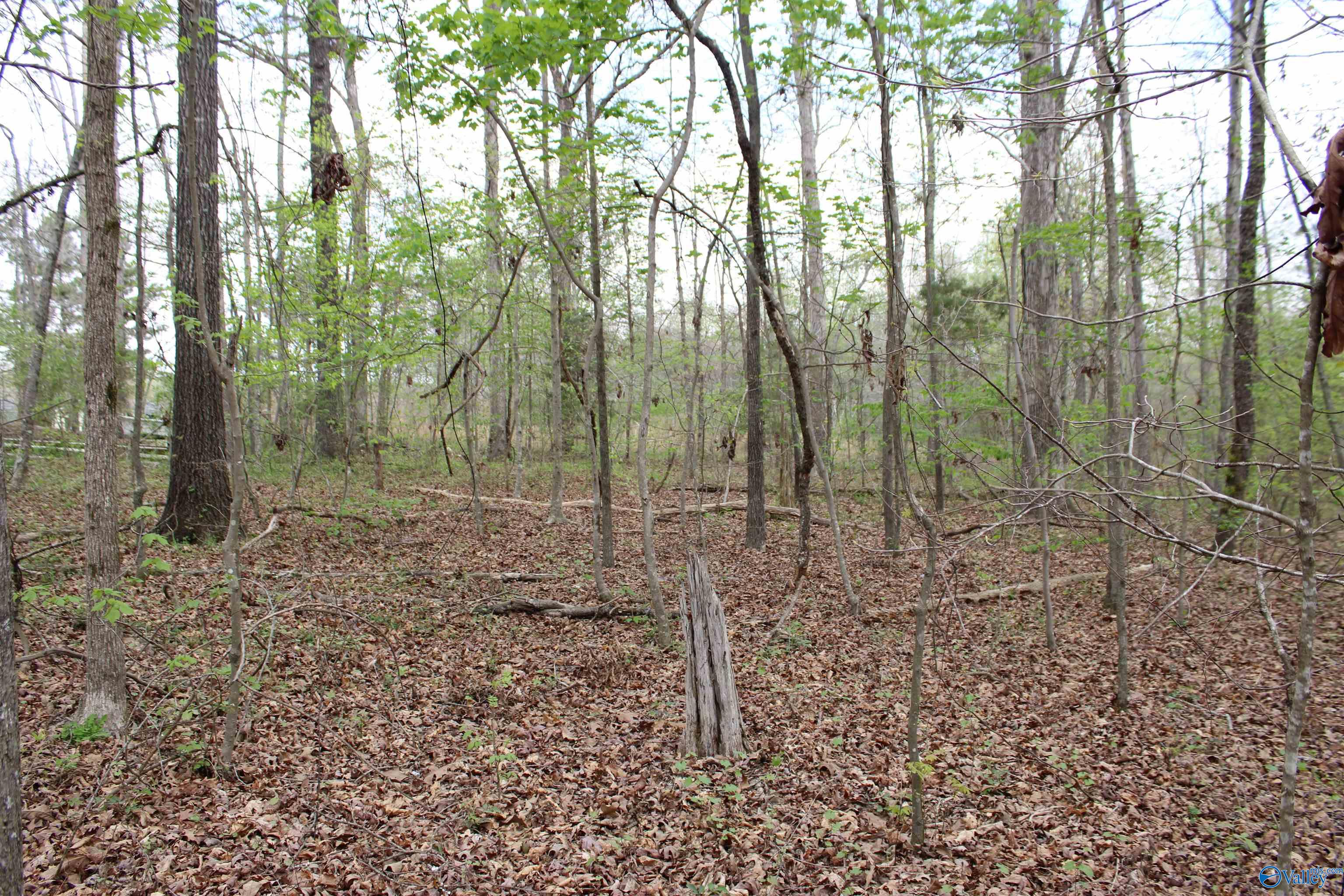 2.7 Acres County Road 518, Moulton, Alabama image 20
