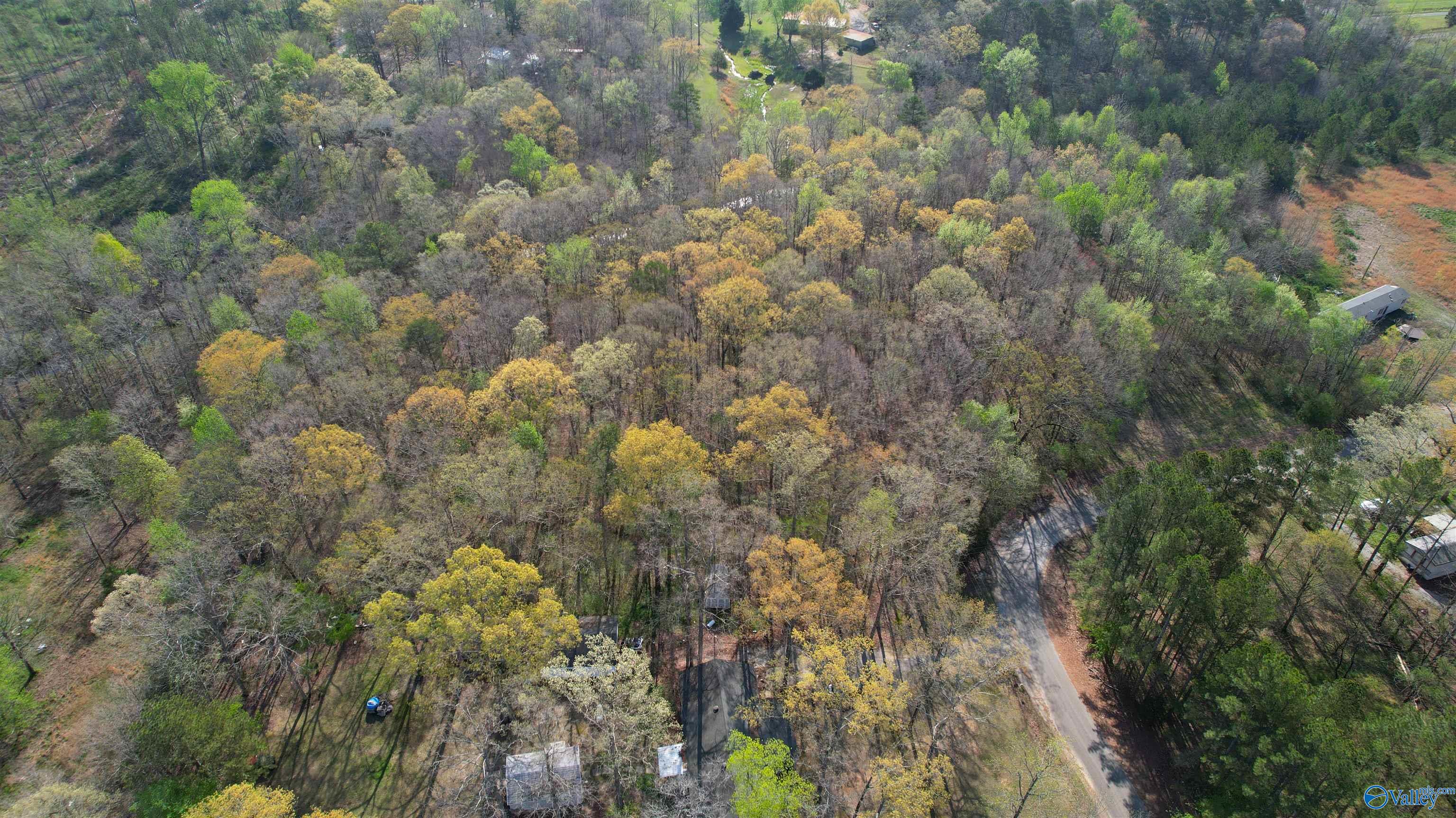 2.7 Acres County Road 518, Moulton, Alabama image 9