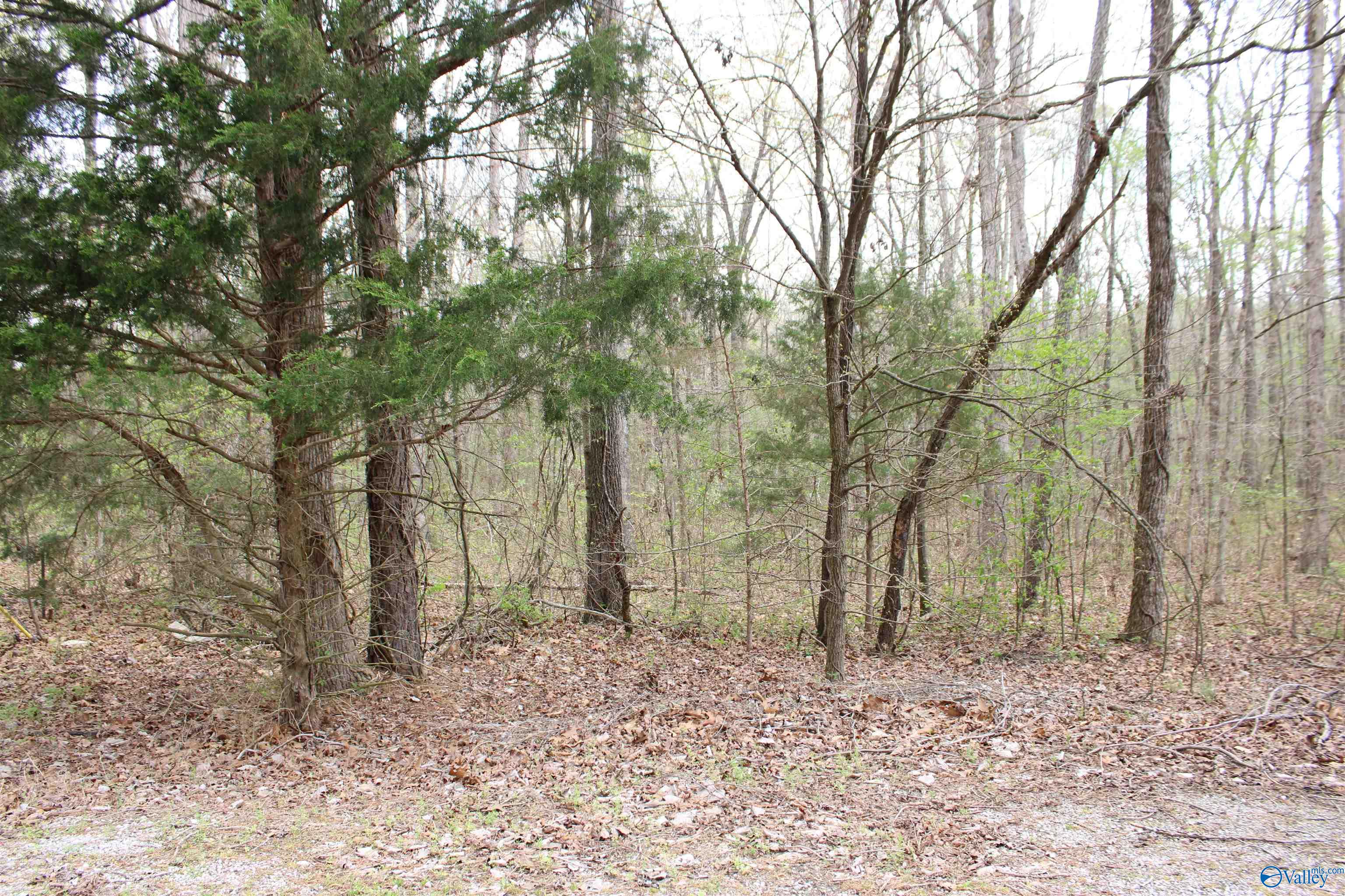 2.7 Acres County Road 518, Moulton, Alabama image 22