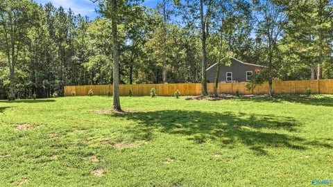 Vacant Land For Sale - .42 County Road 261<br/> Fort Payne, AL 35967