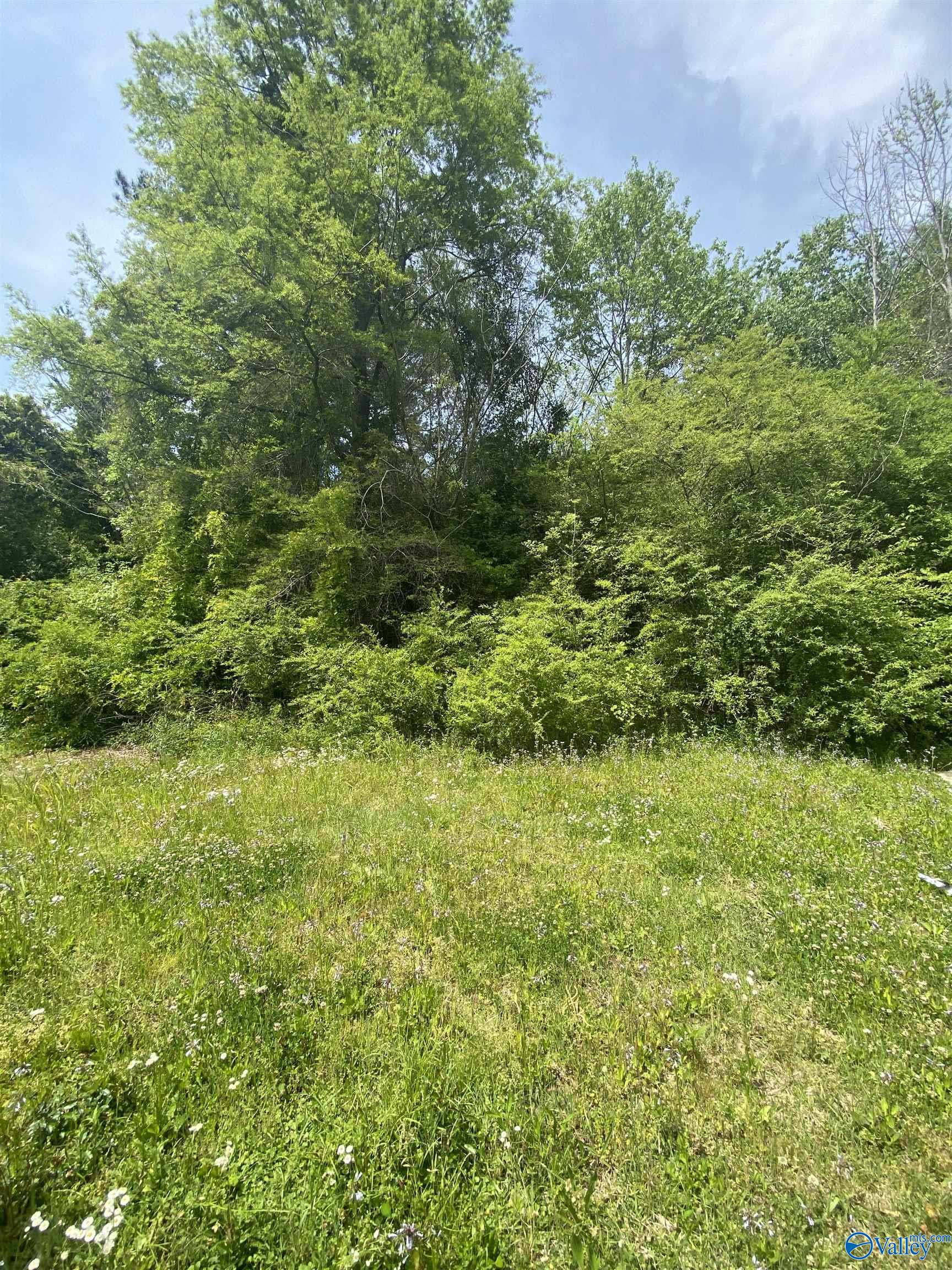 2307 Clayton Avenue, Gadsden, Alabama image 3