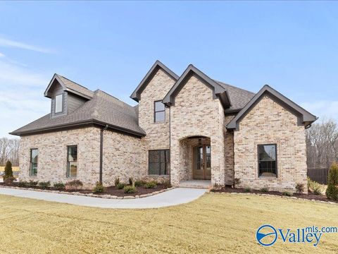 Homes For Sale - 16178 Darby Drive<br/> Limestone County, Athens, AL 35613
