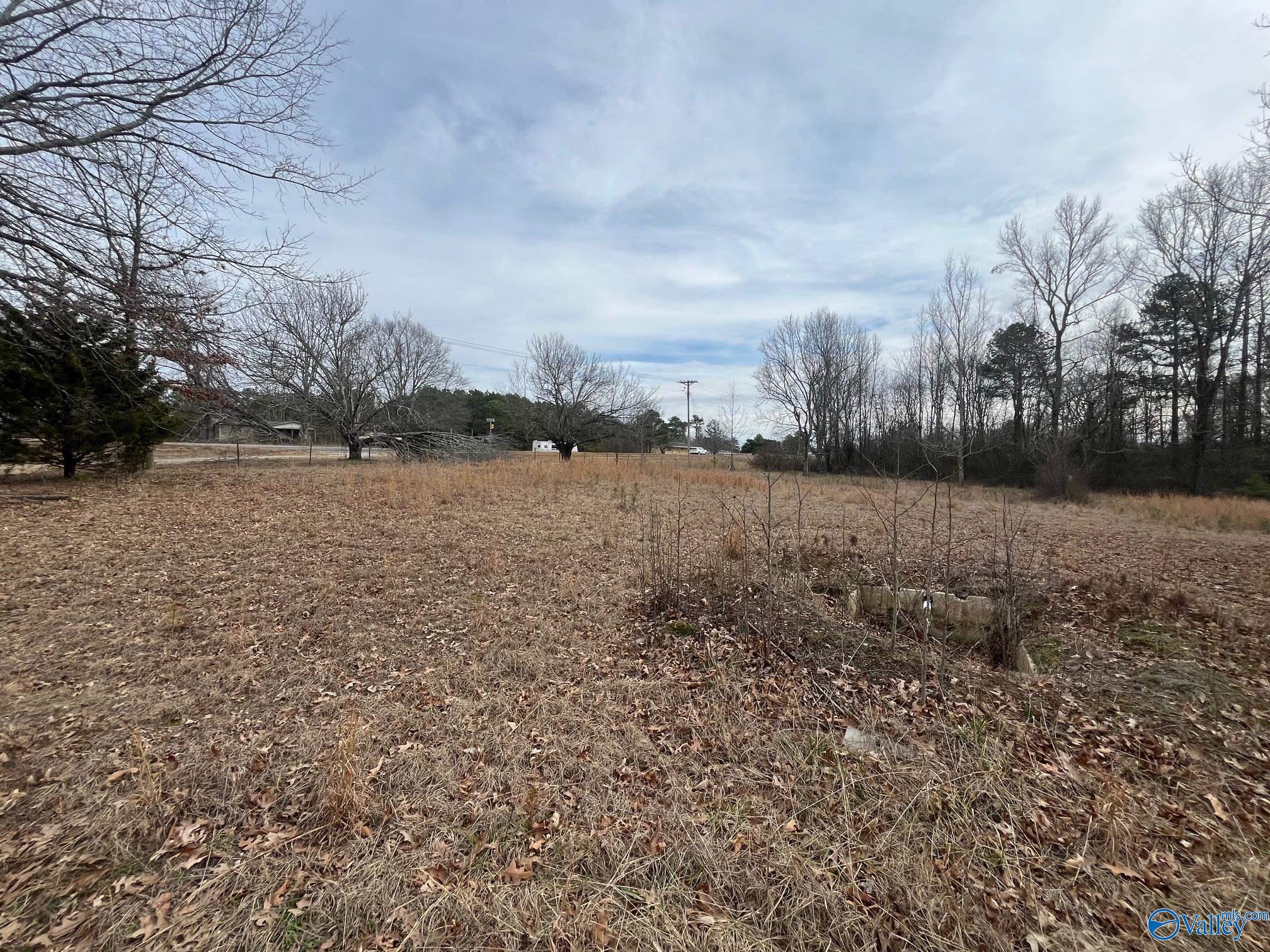 3113 Alabama Highway 40, Dutton, Alabama image 4