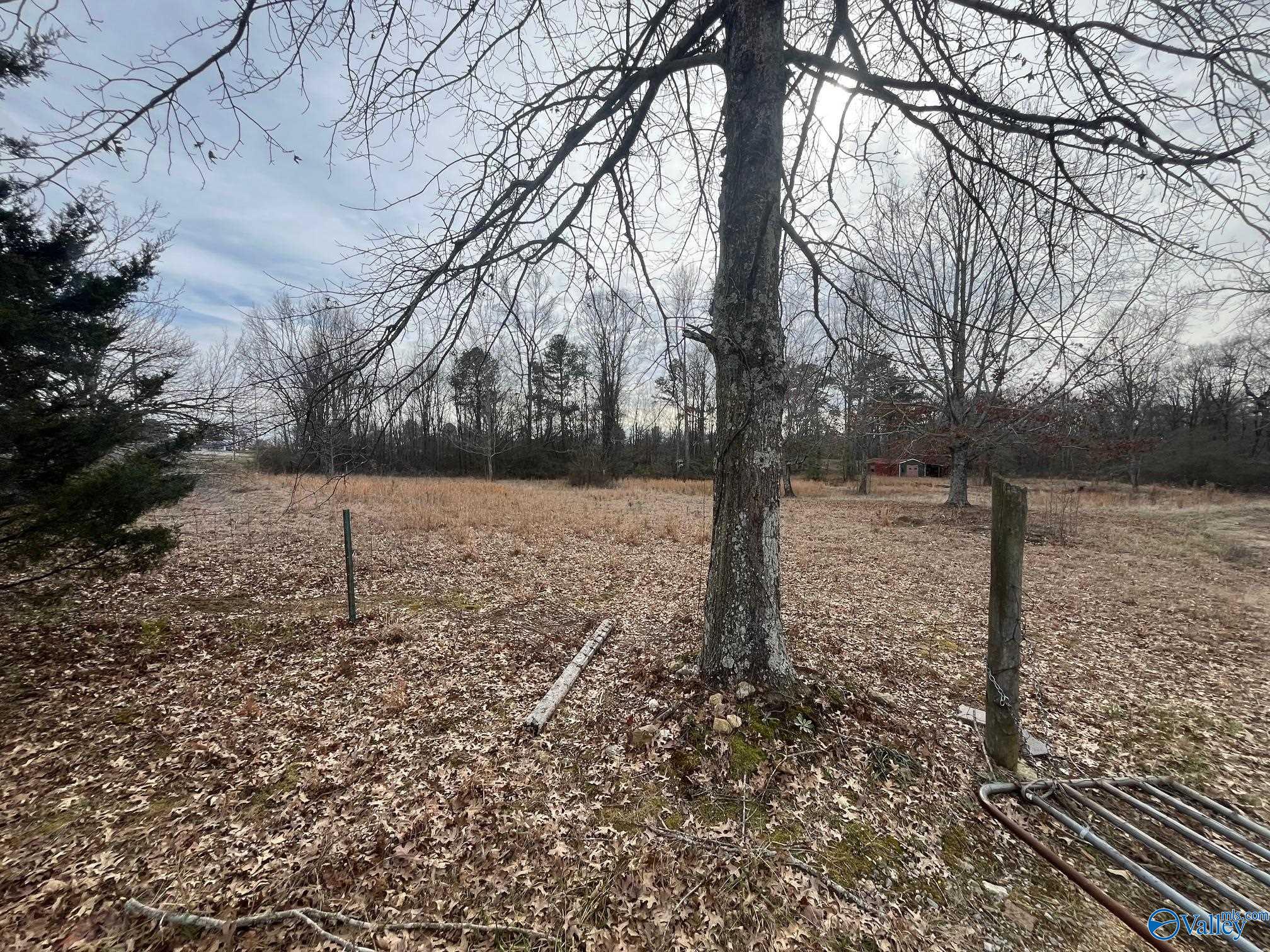 3113 Alabama Highway 40, Dutton, Alabama image 2