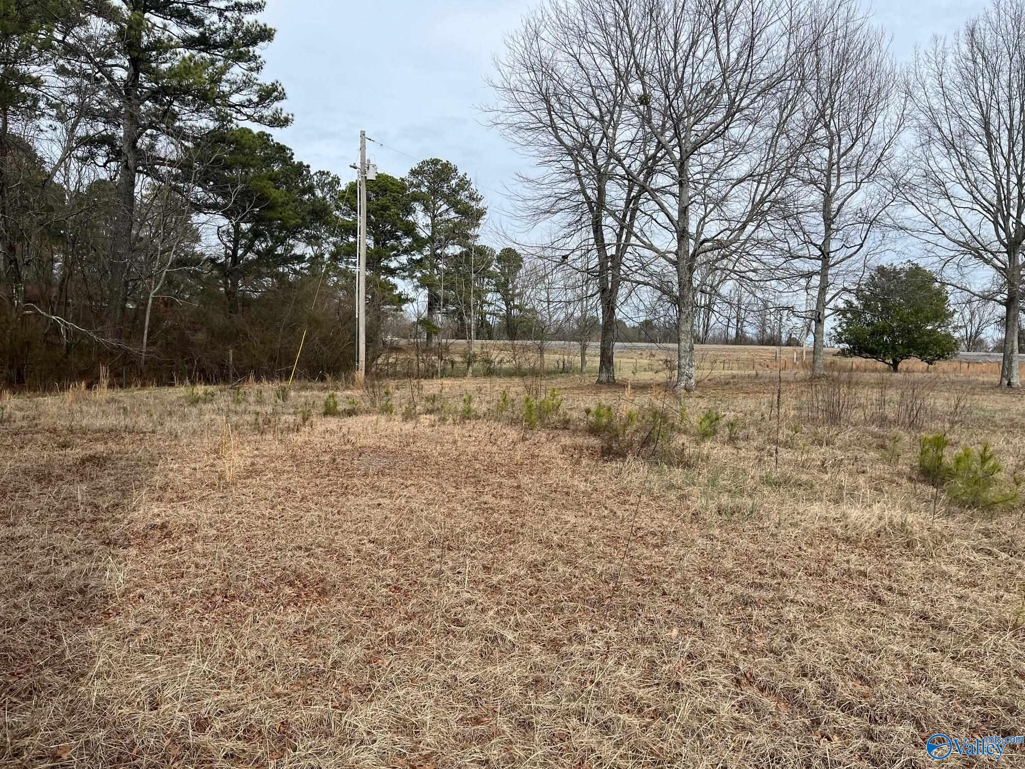 3113 Alabama Highway 40, Dutton, Alabama image 16