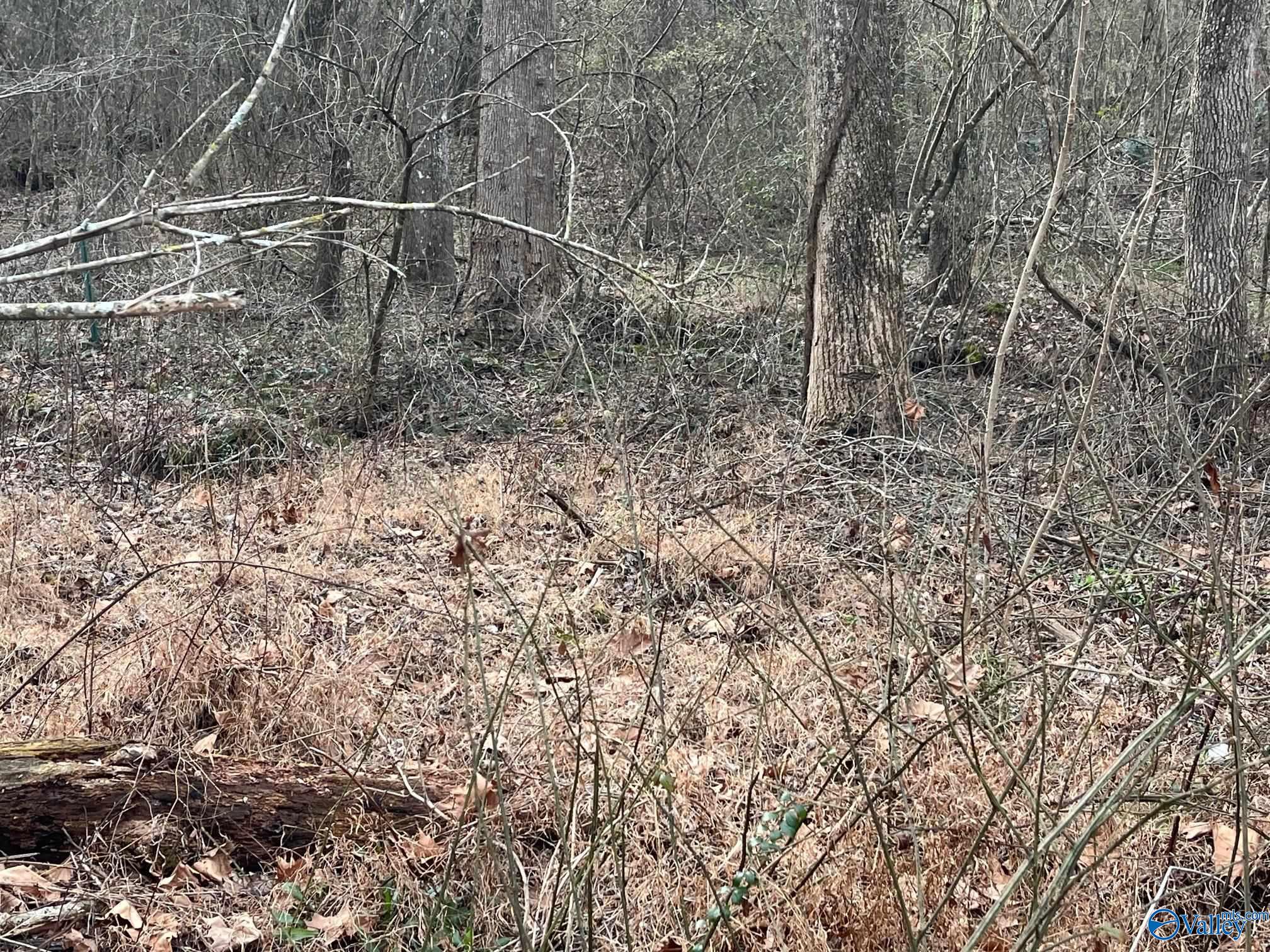 3113 Alabama Highway 40, Dutton, Alabama image 18
