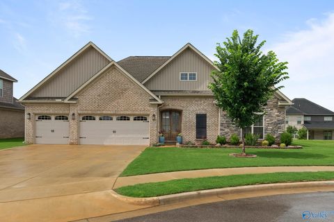 Photo of 103 Blue Spruce Drive, Madison, AL 35757 (MLS # 21919356)