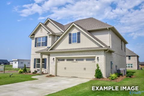 Homes For Sale - 16857 Demi Drive<br/> Athens, AL 35613