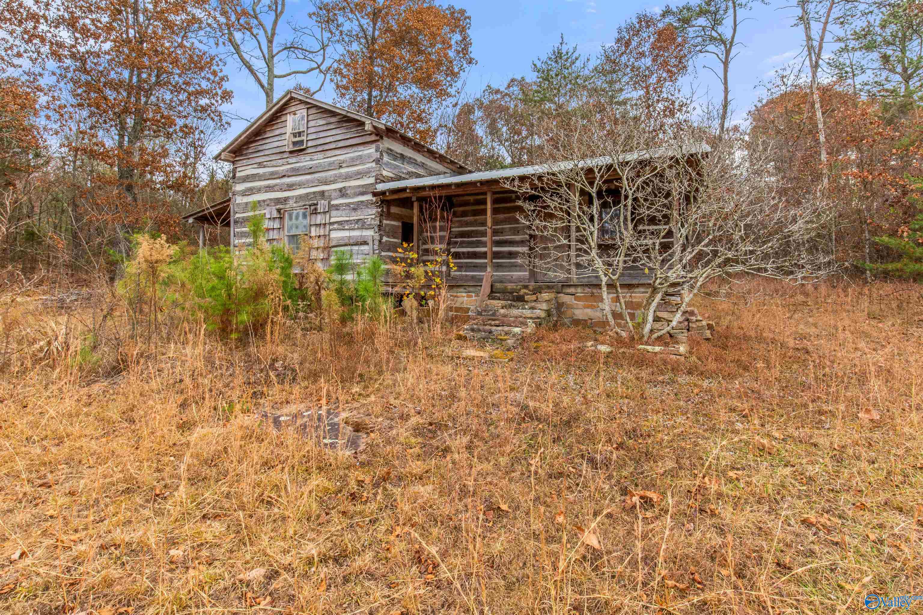 537 Lazy J Lane, Pisgah, Alabama image 6