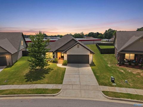 Homes For Sale - 213 Shubert Drive<br/> Hazel Green, AL 35750