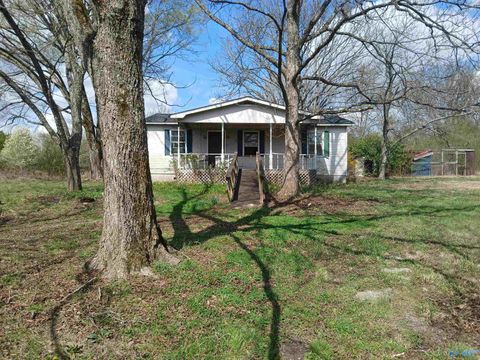 Photo of 6597 County Road 170, Trinity, AL 35673 (MLS # 21911438)