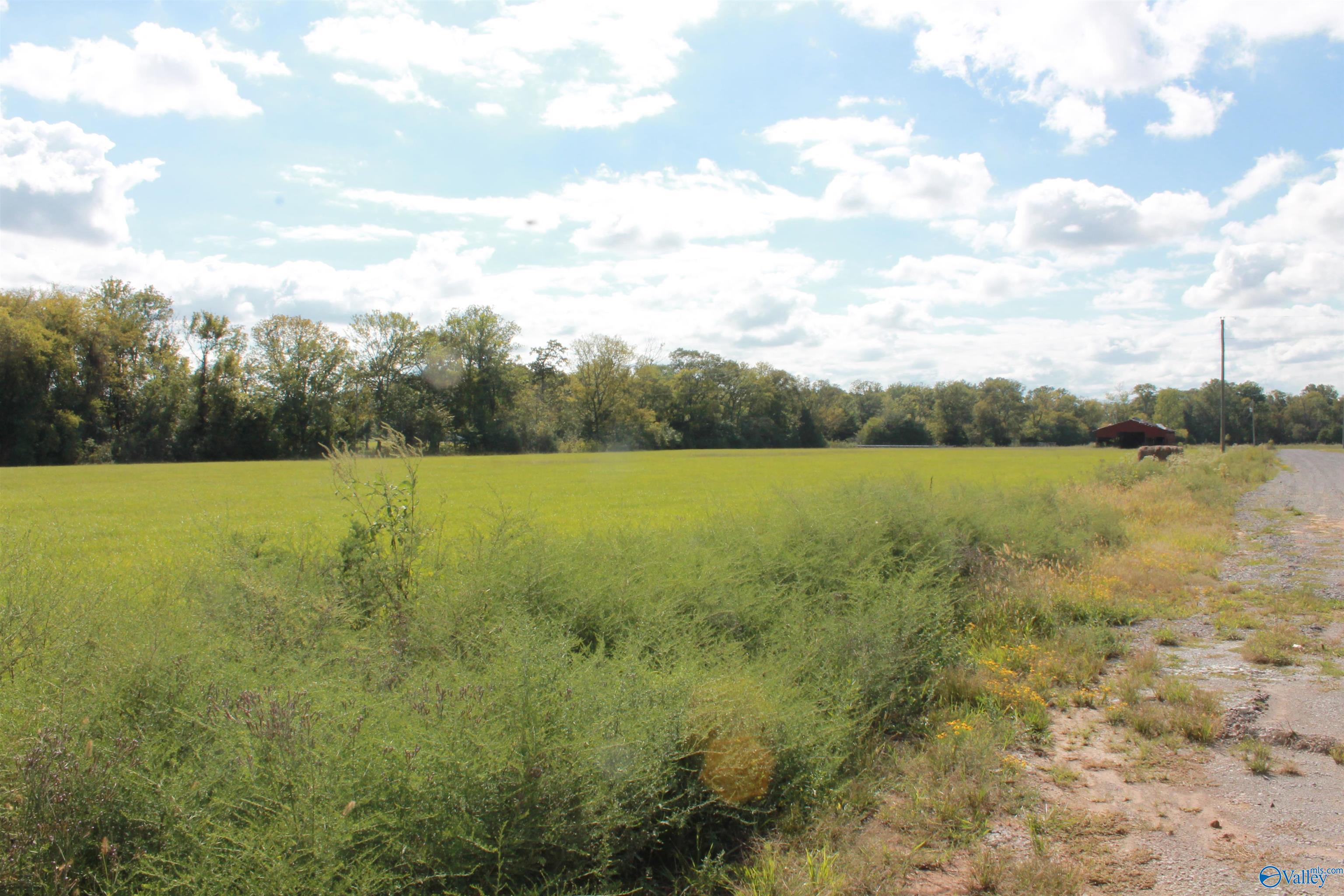 10 Acres Culver Road, Falkville, Alabama image 6