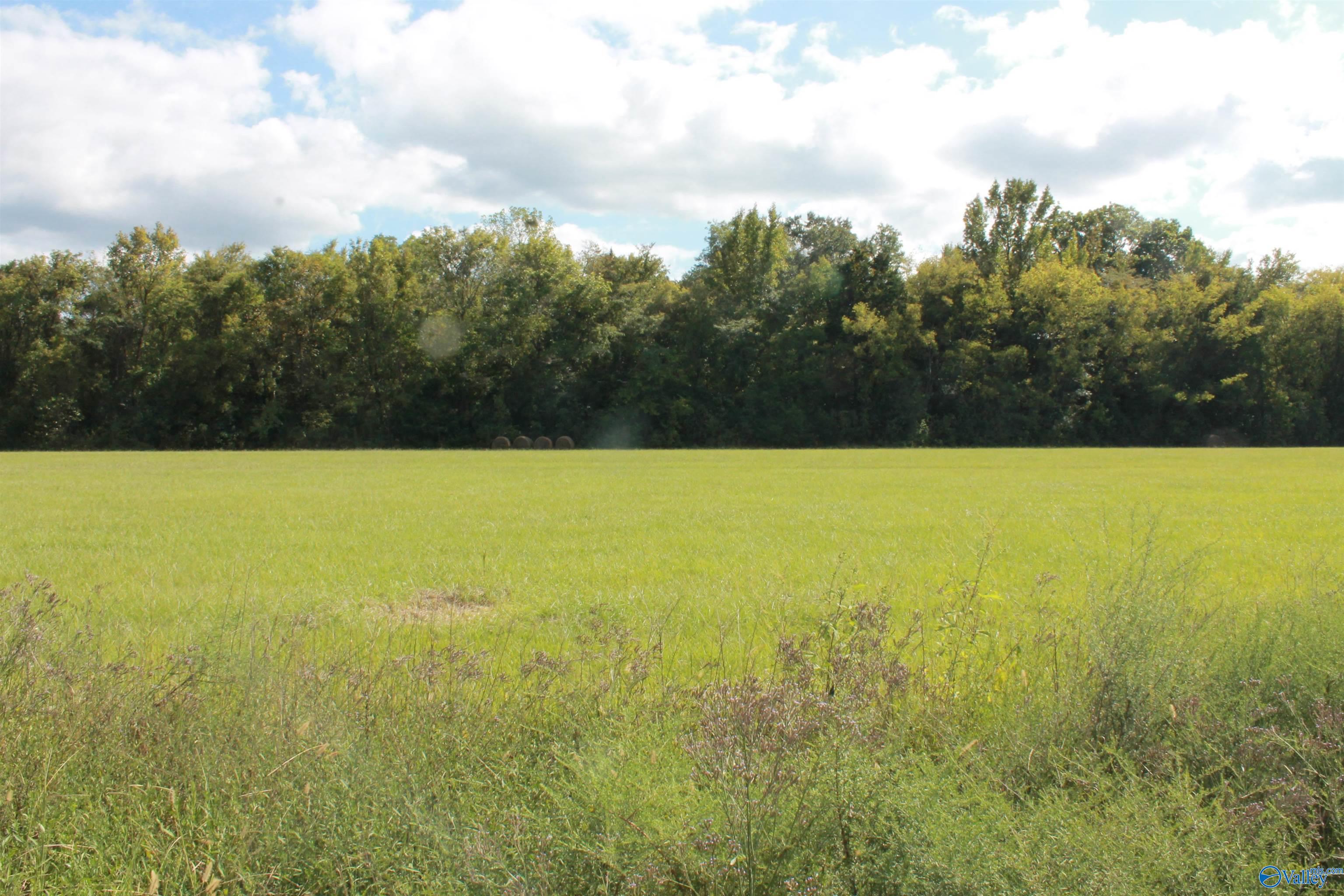 10 Acres Culver Road, Falkville, Alabama image 4