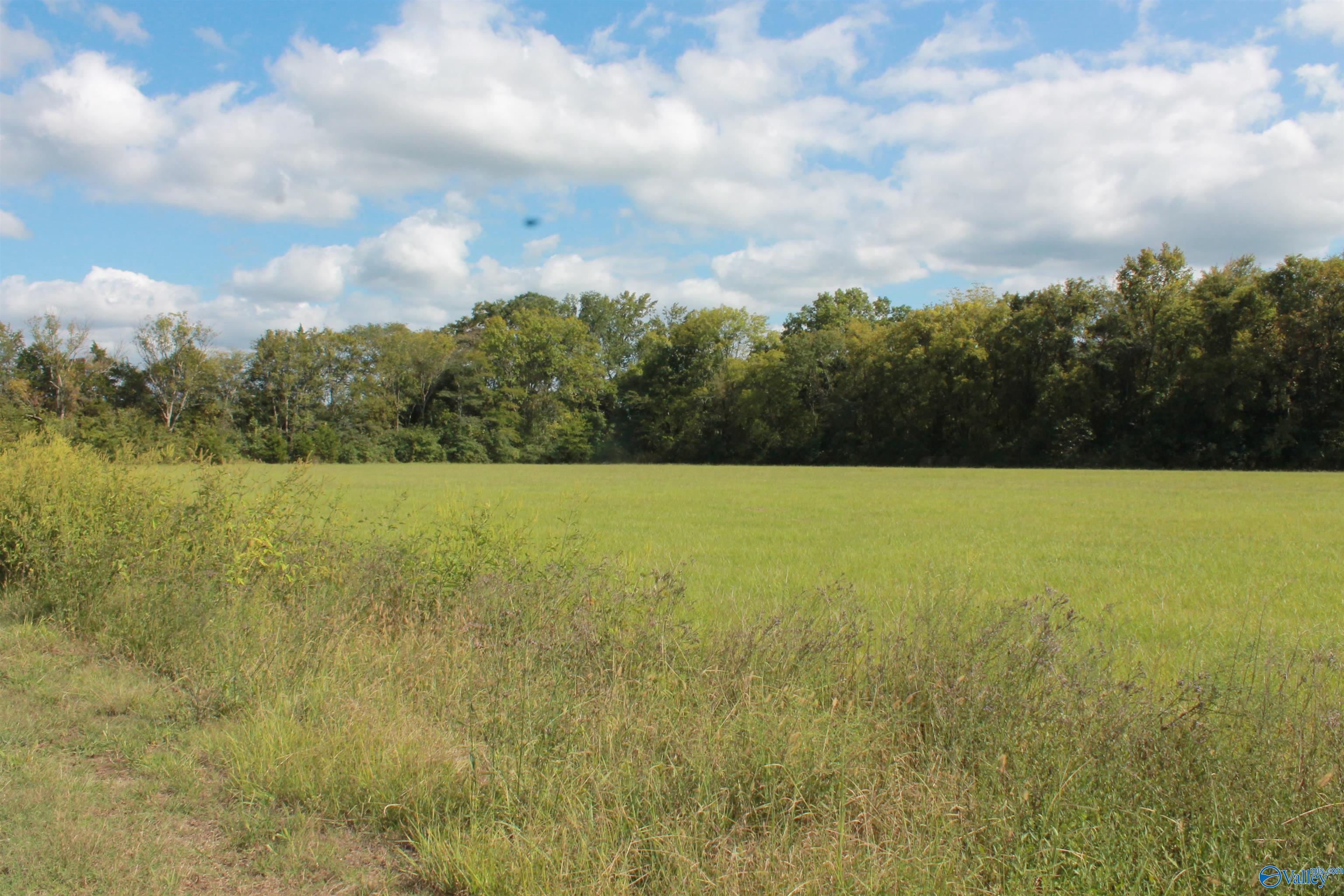 10 Acres Culver Road, Falkville, Alabama image 1