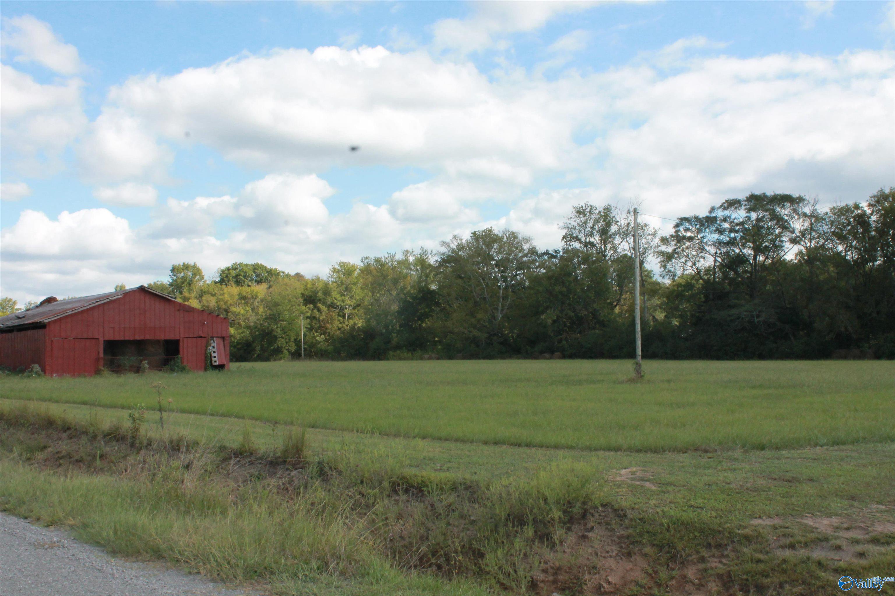 10 Acres Culver Road, Falkville, Alabama image 10