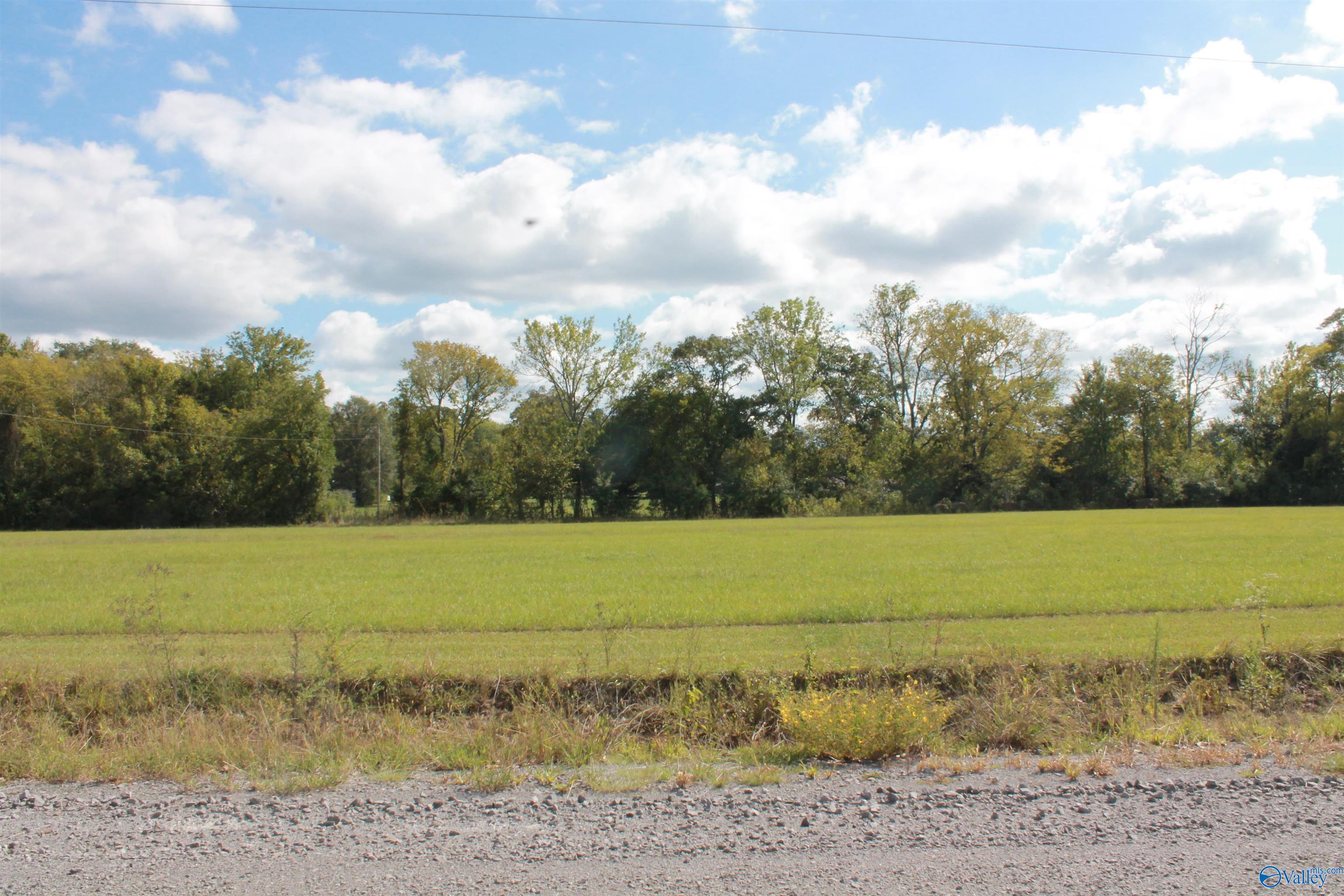 10 Acres Culver Road, Falkville, Alabama image 7