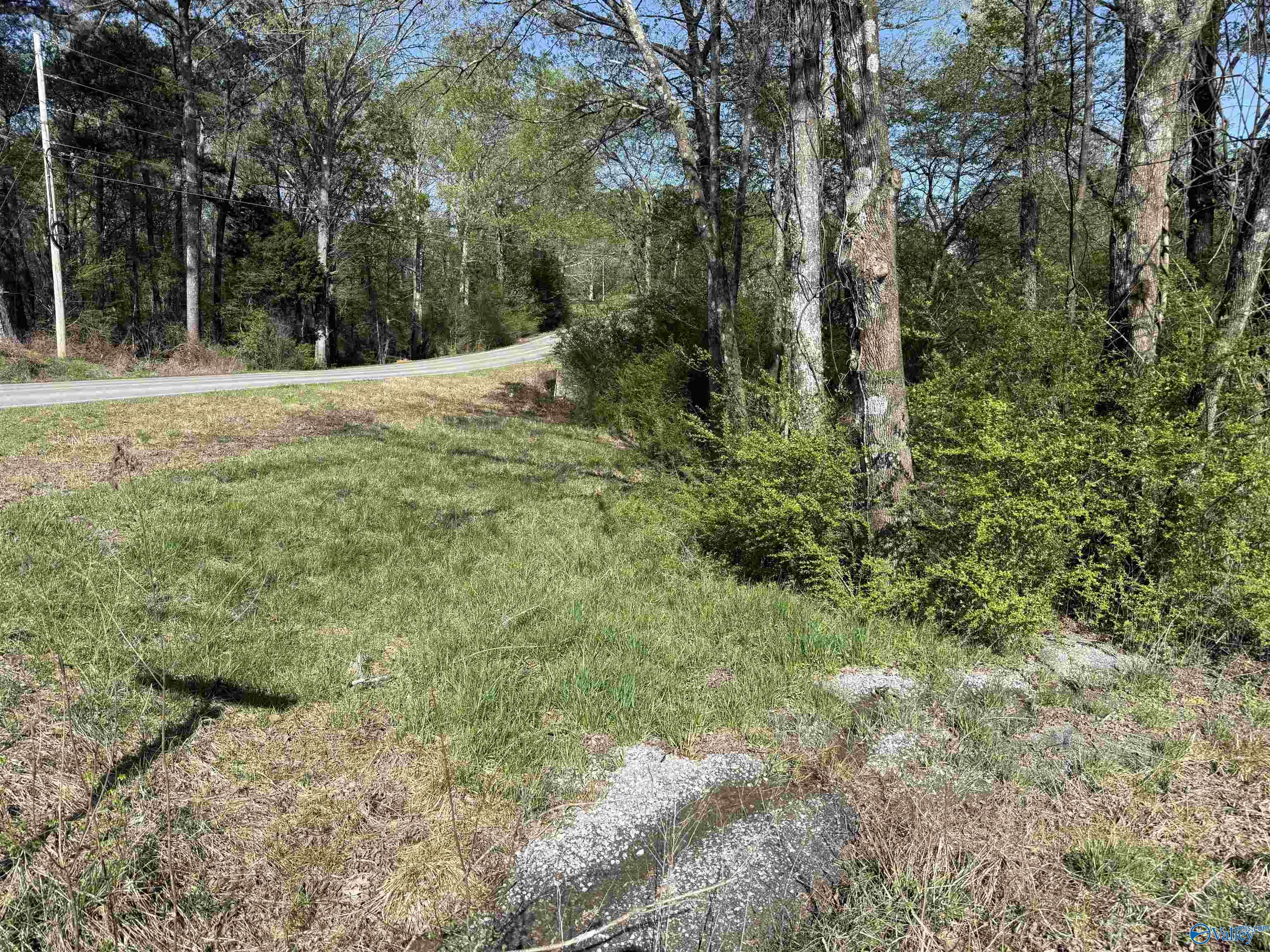 1.19 Gladys, Eva, Alabama image 6