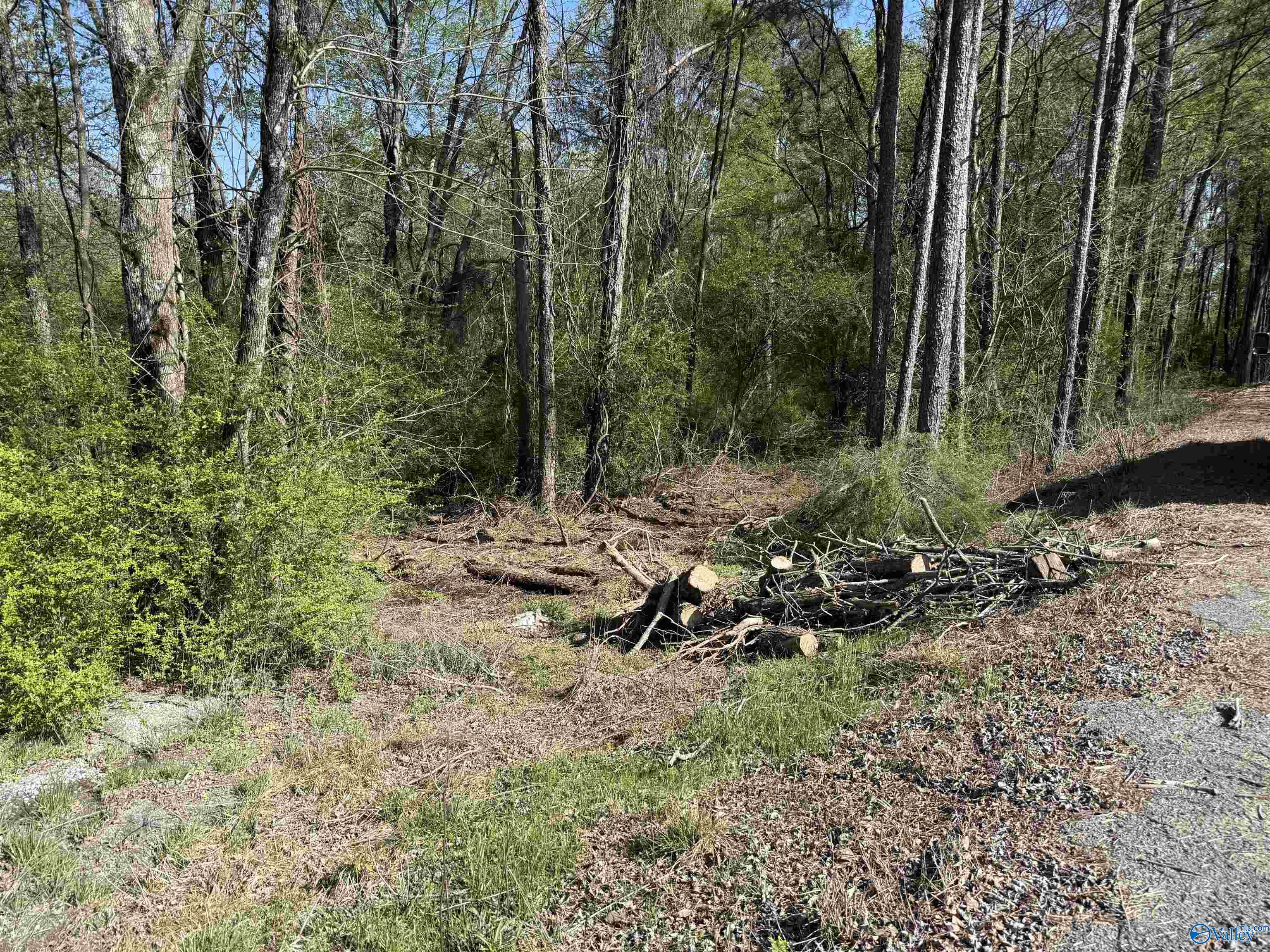 1.19 Gladys, Eva, Alabama image 5
