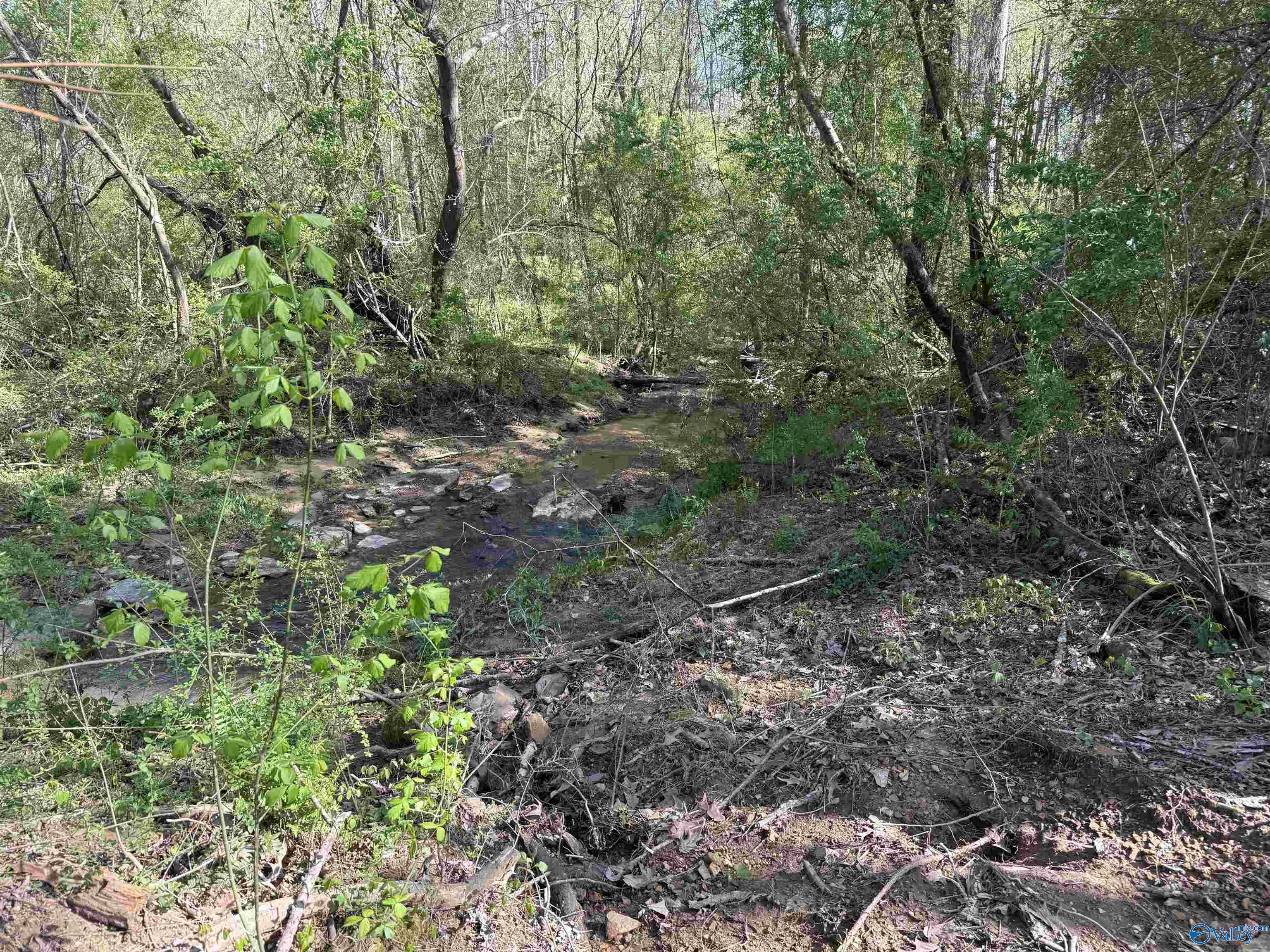 1.19 Gladys, Eva, Alabama image 2