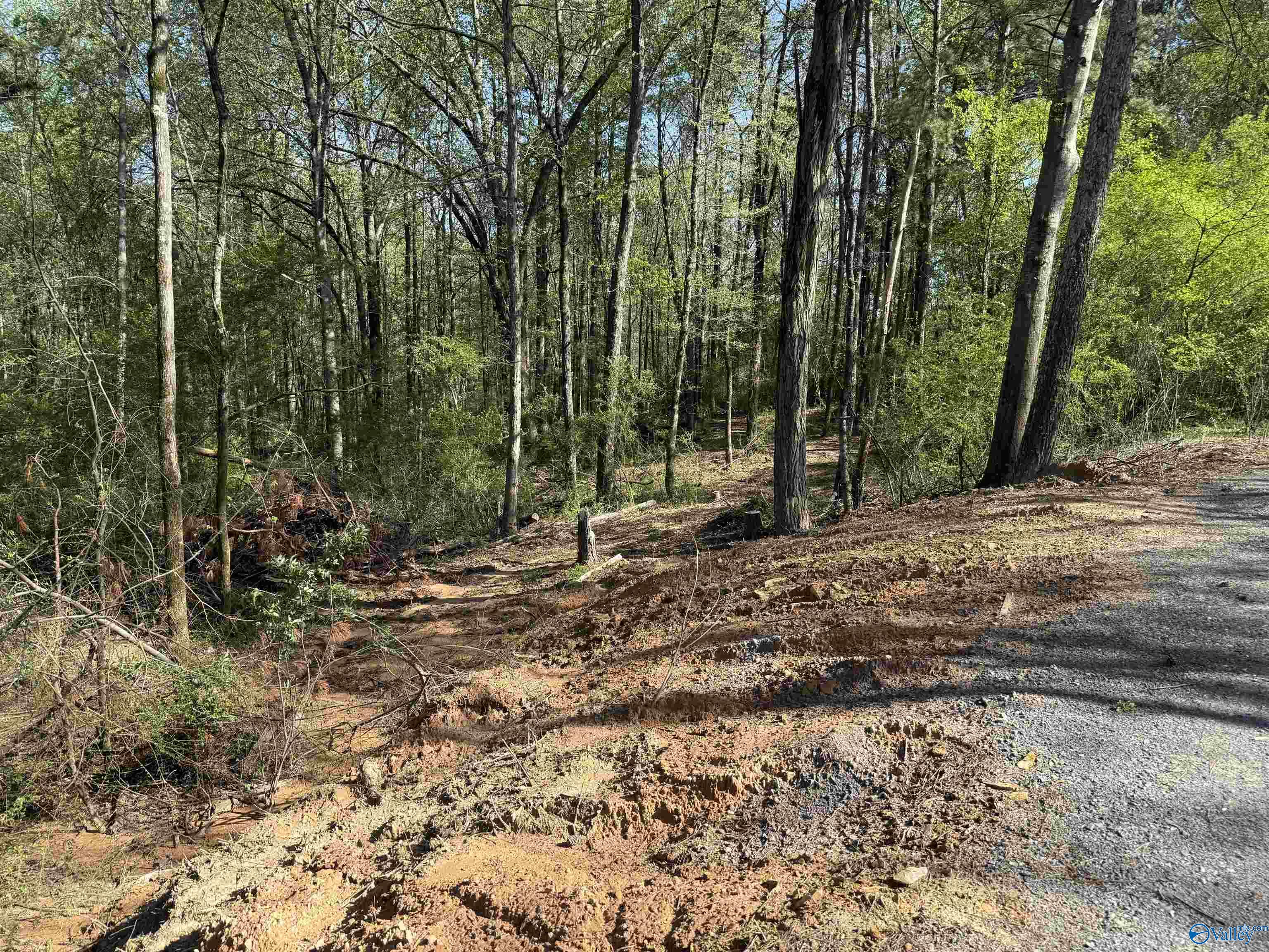 1.19 Gladys, Eva, Alabama image 1