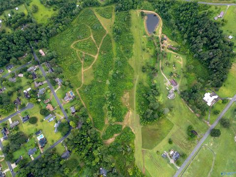 Vacant Land For Sale - 01 Hwy 205<br/> Etowah County, Boaz, AL 35956