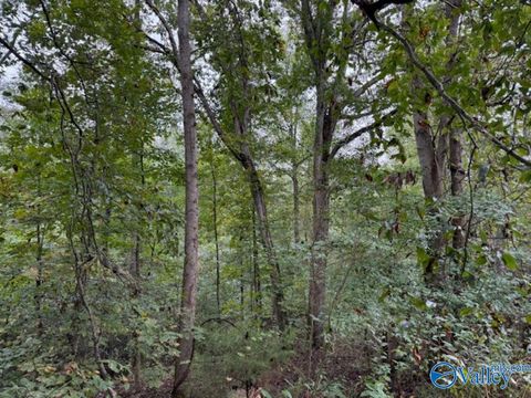 Vacant Land For Sale - 19.3 ACRES County Road 200<br/> Danville, AL 35619