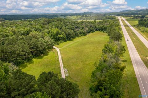 Homes For Sale - 11378 Us Highway 411<br/> Gadsden, AL 35901