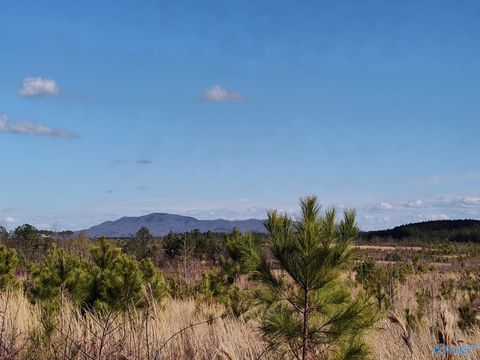 Vacant Land For Sale - 415 ACRES Tom Cat Road<br/> Etowah County, Gadsden, AL 35903