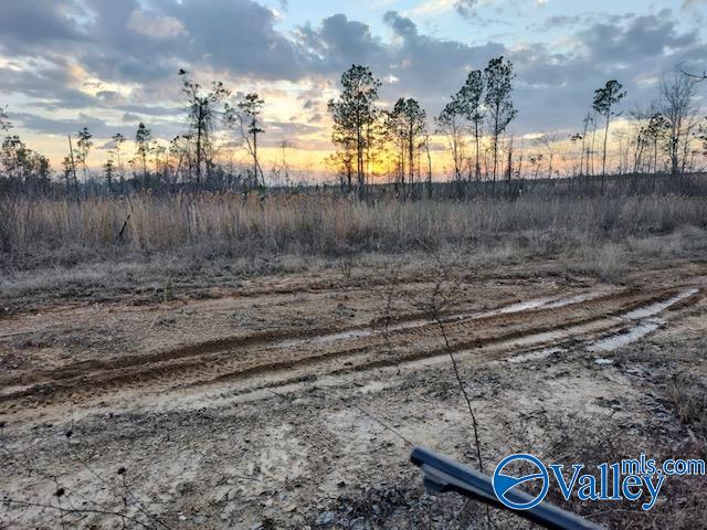 617 ACRES Beaird Road, Gadsden, Alabama image 9