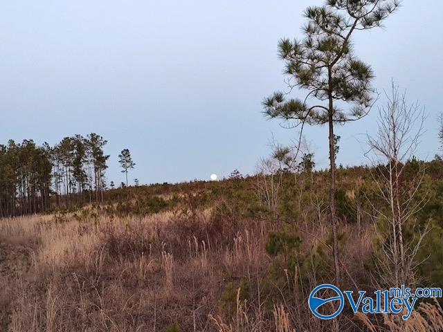 617 ACRES Beaird Road, Gadsden, Alabama image 13