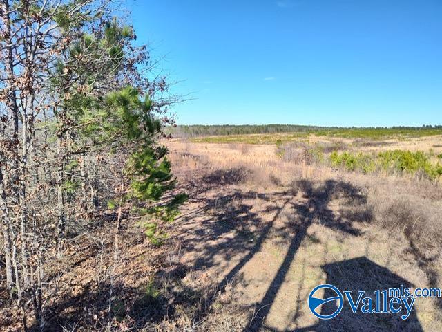 617 ACRES Beaird Road, Gadsden, Alabama image 17