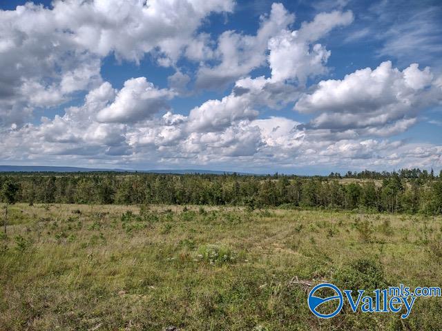 617 ACRES Beaird Road, Gadsden, Alabama image 2