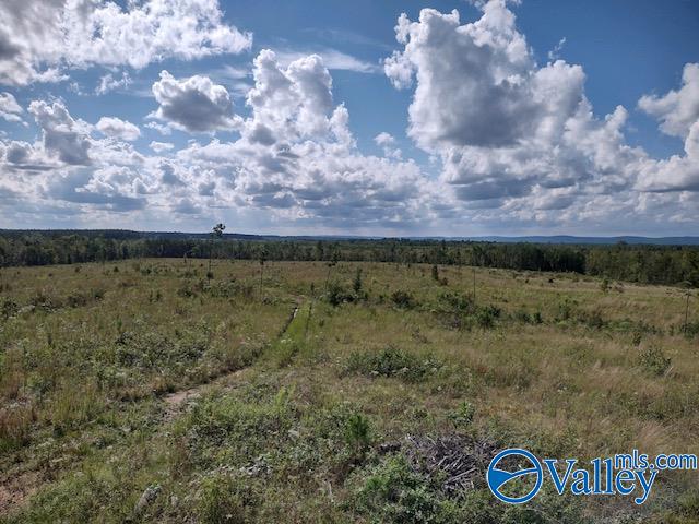 617 ACRES Beaird Road, Gadsden, Alabama image 5